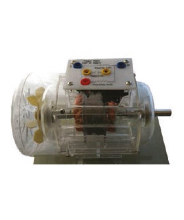 synchronous motor